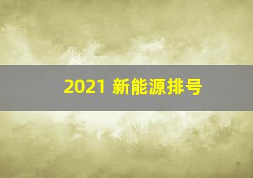 2021 新能源排号